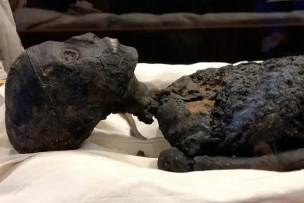 مومياء توت (وزارة السياحة والآثار المصرية)