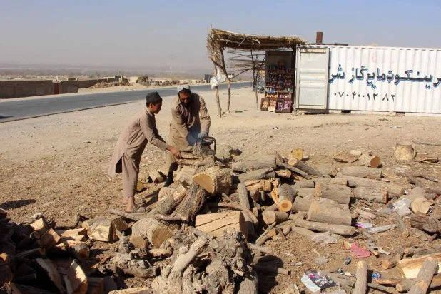 A man chops firewood in a rural Afghan area as families prepare fuel supplies ahead of the winter season in Kandahar, Afghanistan, 25 November 2025. EPA/QUDRATULLAH RAZWAN