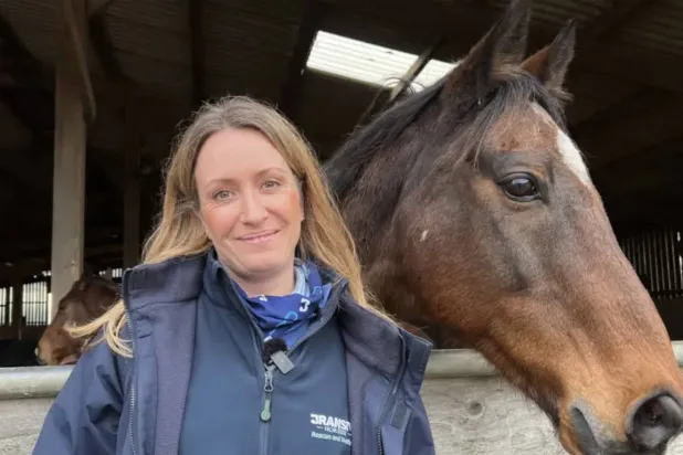 الموسيقى علاجٌ غير مُعلَن للخيول القَلِقة (إنستغرام)