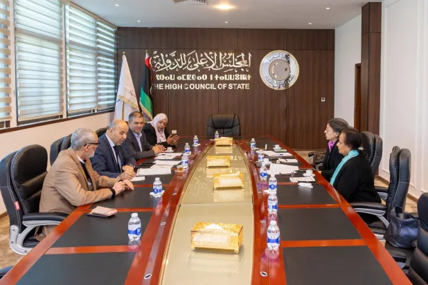 البعثة الأممية في ليبيا خلال اجتماع مع ممثلي لجنة «المناصب السيادة» بمجلسي «النواب» و«الدولة» (البعثة الأممية)