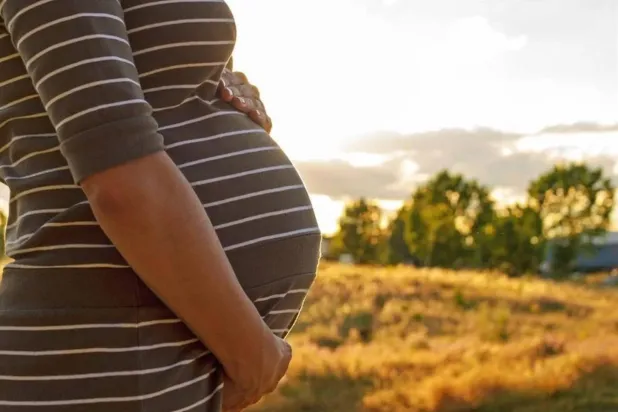 تقدم الرقعة الجديد طريقةً لدعم حملٍ أكثر أماناً من المنزل (جامعة روتجرز)