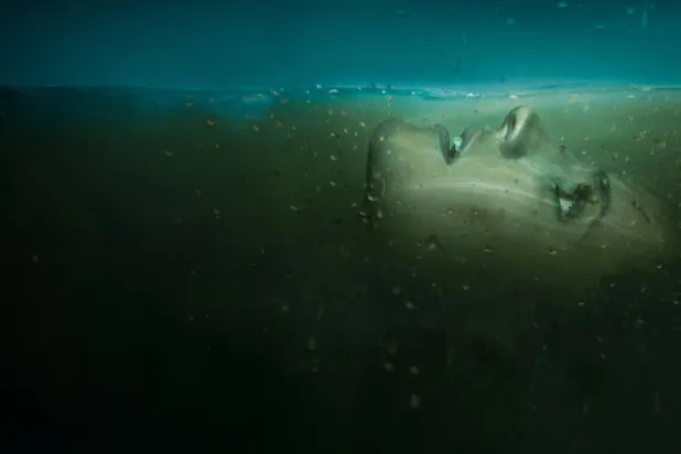 Absentia'da gıyaben ölü ilan edilen FBI ajanı, yıllar sonra bir seri katilin elinden kurtulsa da yeni bir cinayet dönüşüne gölge düşürüyor (Netflix)