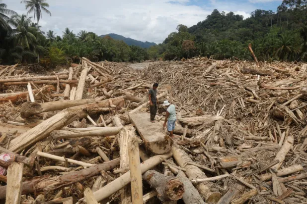   Men stand on logs swept away by flash flood in Batang Toru, North Sumatra, Indonesia, Tuesday, Dec. 2, 2025. (AP Photo/Binsar Bakkara)
