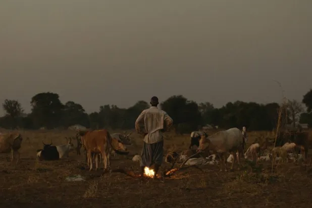 صوَّر المخرج الفيلم في ظروف صعبة (الشركة المنتجة)