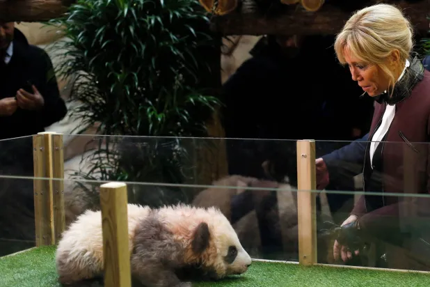FILE - French First lady Brigitte Macron attends a naming ceremony of the panda born at the Beauval Zoo, in Saint-Aignan-sur-Cher, France, on Dec. 4, 2017. (AP Photo/Thibault Camus, Pool, File)