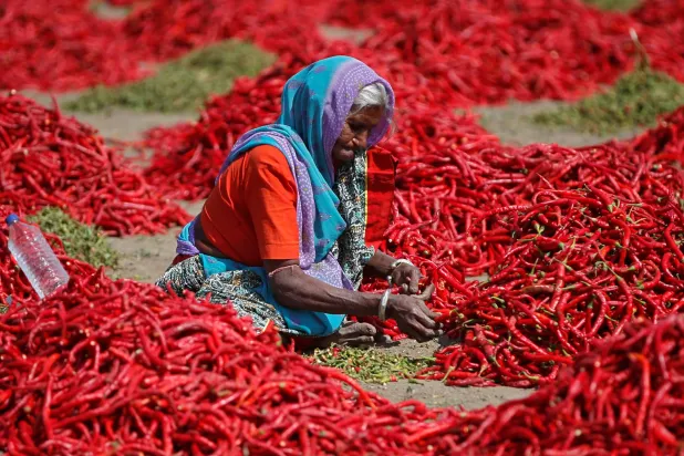 تناول الفلفل الحار يمكن أن يساعد في خفض ضغط الدم (رويترز)