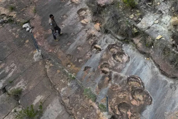 Park ranger José Vallejos stands next to petrified dinosaurs footprints in Carreras Pampa in Toro Toro National Park, north of Potosi, Bolivia, Saturday, Dec. 6, 2025. (AP) 