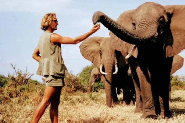 «ضمير الأفيال» يرحل (إنستغرام)