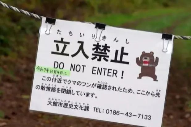 Bears have killed several people in Japan this year. Caroline GARDIN / AFP