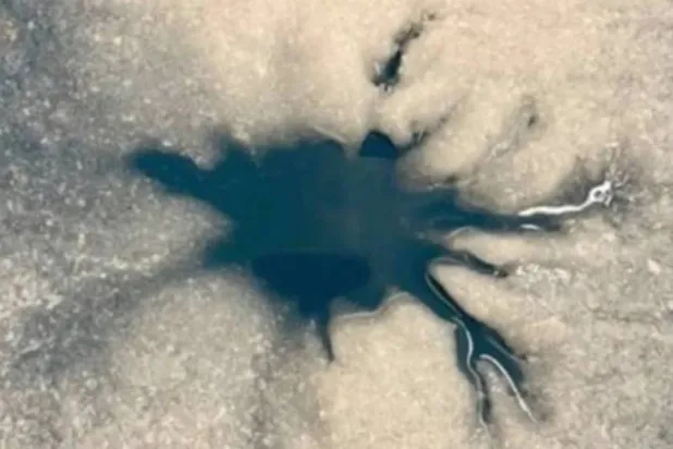 A dendritic “lab star” formed by liquid water flowing through Europa ice simulant at NASA JPL, modeling how features like Damhán Alla could form on Jupiter's icy moon, similar to how lake stars form on Earth. (Image credit: Prof. Lauren Mc Keown.)