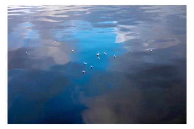 طبقات من الأزرق تترك للعين أن تُكمل الحكاية (فاديا أحمد)