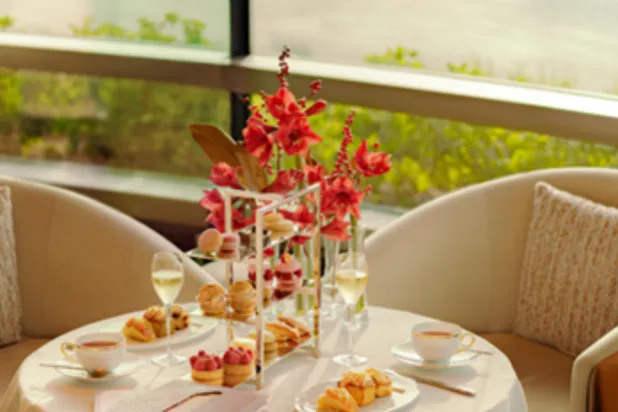 «روزوود أبوظبي» يدعو ضيوفه للاحتفال بالأعياد وسط أجواء شتوية راقية