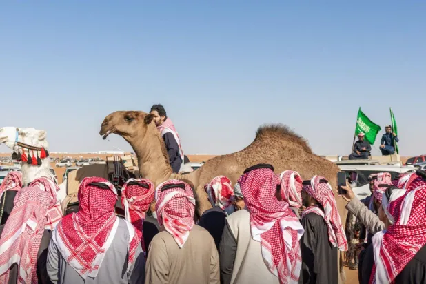 أعلنت لجنة التحكيم النهائي بمهرجان الملك عبد العزيز للإبل نتائج الفائزين في اليوم السابع عشر (واس)