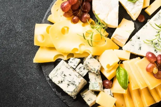 الأجبان كاملة الدسم تدعم صحة الدماغ مع التقدم في العمر (جامعة لوند)