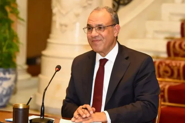 Egyptian Foreign Minister Badr Abdelatty (Asharq Al-Awsat)