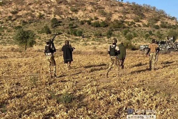 الجيش النيجيري خلال تمشيط منطقة تنشط فيها مجموعات إرهابية (إعلام محلي)