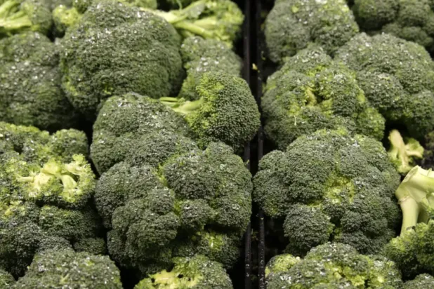 تناول البروكلي يُمكن أن يُساعد في تقليل خطر الإصابة بألزهايمر (رويترز)
