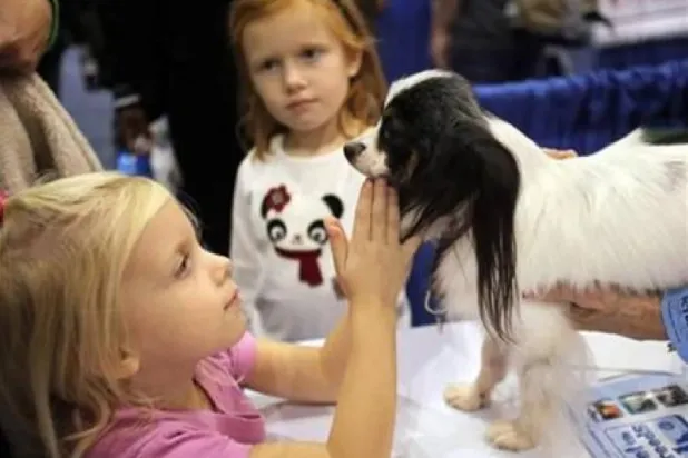 الأطفال الذين ينشأون مع الكلاب أقل عرضة للإصابة بالربو (رويترز)