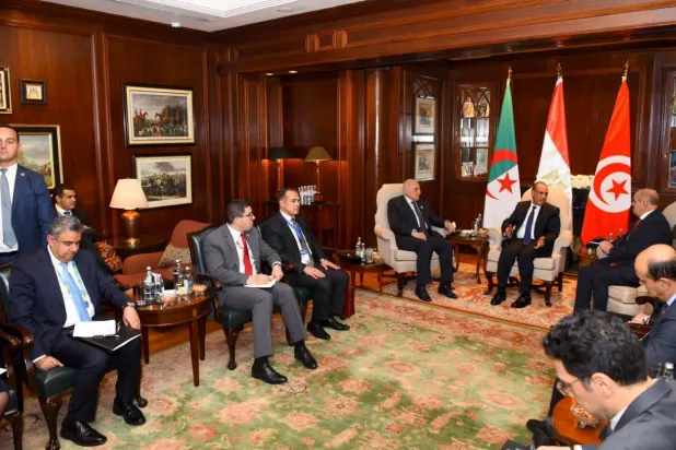 وزراء خارجية مصر والجزائر وتونس يتفقون على «مواصلة التنسيق والتشاور الوثيق» بشأن الأزمة الليبية (وزارة الخارجية المصرية)