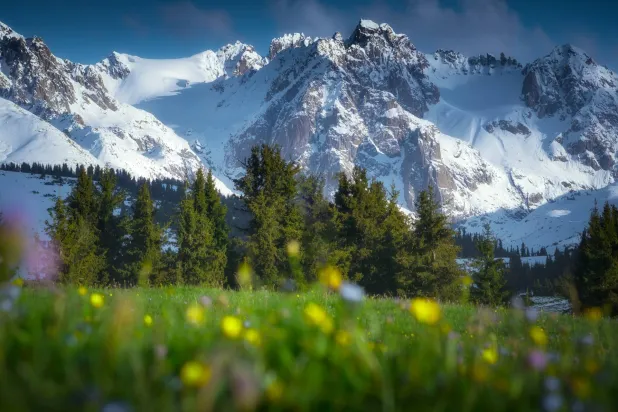 جبال تحتضن تنوعاً نباتياً ناشئاً بفعل الارتفاع ودرجات الحرارة المنخفضة (غيتي)