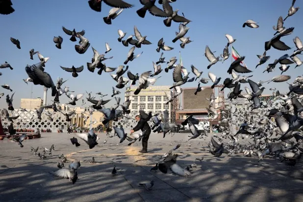 An Iranian man feeds birds in a street in Tehran, Iran, December 20, 2025. Majid Asgaripour/WANA (West Asia News Agency) via Reuters