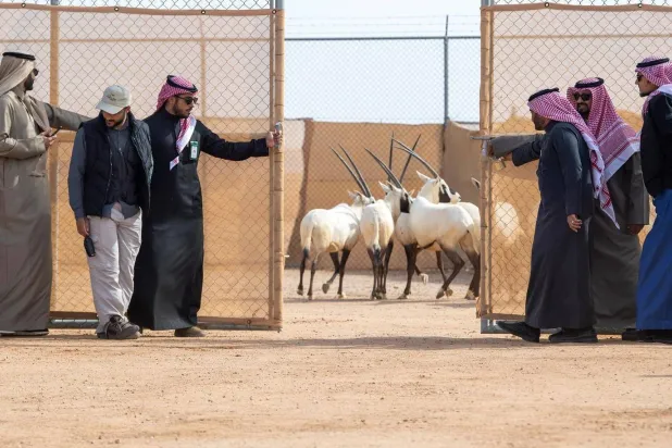 الإطلاقات تمثل خطوة إضافية نحو تحقيق رؤية المركز في تنمية الحياة الفطرية بالمملكة (واس)