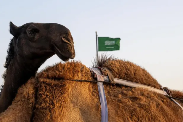 The agency is presenting examples of national ID cards and how these documents have evolved - SPA