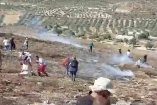 Israeli settlers attacked farmers and volunteers harvesting olives on a Palestinian farm in Burin, near Nablus, on November 8, 2025. © Observers
