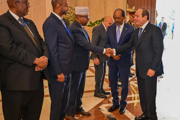 الرئيس المصري خلال استقباله نظيره الصومالي بالقاهرة في يناير الماضي (الرئاسة المصرية)