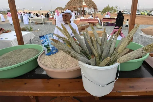 بيع محصول الدخن في جنوب السعودية (واس)