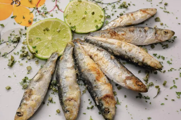 ما تأثير السردين على صحة القلب؟