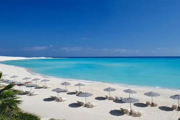 تعهدت قطر باستثمارات تصل إلى 7.⁠5 مليار دولار في مصر... وصفقة علم الروم الأولى في الاتفاقية (إكس)