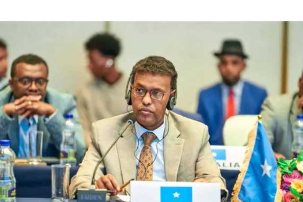 سفير الصومال لدى أديس أبابا والاتحاد الأفريقي عبد الله محمد ورفا (صفحته على مواقع التواصل الاجتماعي)