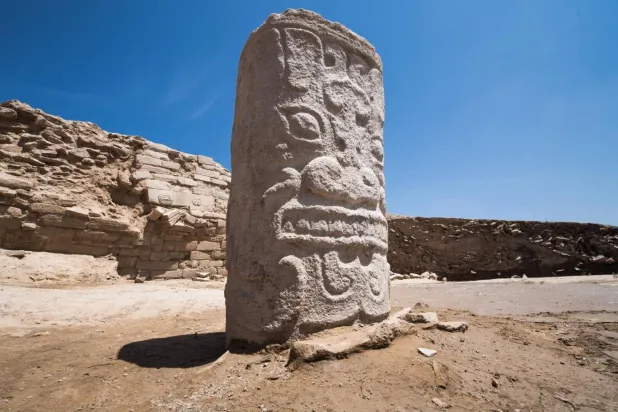 Shimao şehrindeki oyma taş (Omurgalı Paleontolojisi ve Paleoantropoloji Enstitüsü)