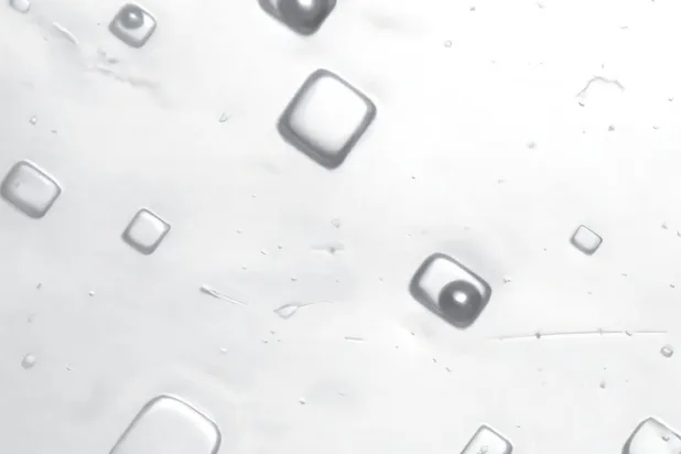 Kaya tuzuna hapsolan hava kabarcıkları, yüz milyonlarca öncesinin atmosferinin içeriğini ortaya çıkardı (Justin Park/Rensselaer Politeknik Enstitüsü)