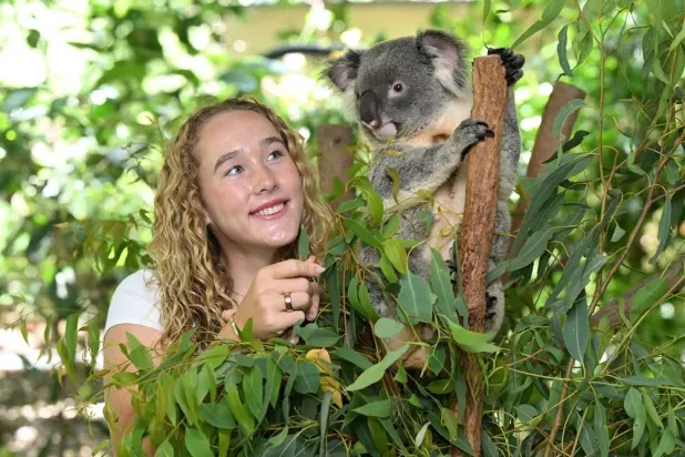 World No.9 Russian tennis player Mirra Andreeva (L) poses with a Koala during a visit to Lone Pine Koala Sanctuary ahead of the Brisbane International in Brisbane, Australia, 31 December 2025. (EPA) 