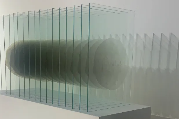 عمل بعنوان «سلام»  (الفنان)