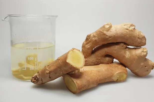الزنجبيل يحتوي على مركب طبيعي يقلل التهاب القولون (جامعة ميونيخ التقنية)