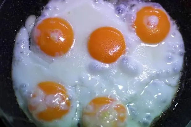 لون صفار البيض يعتمد على النظام الغذائي للدجاجة (أرشيفية - رويترز)