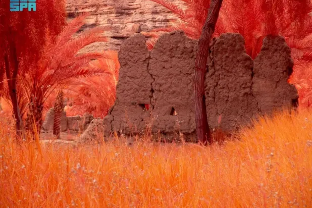 The exhibition will feature more than 80 significant artworks by artists from Saudi Arabia, the Middle East and North Africa, and around the world. (SPA)