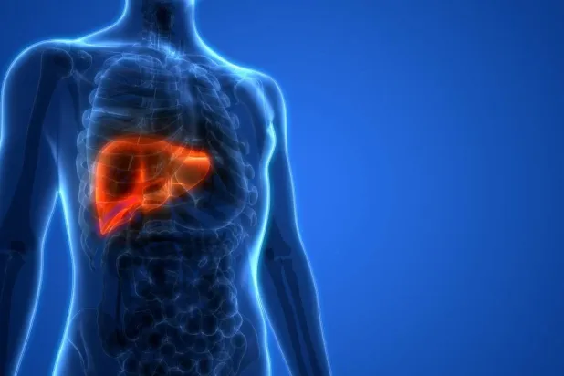 تليّف الكبد من الأمراض الصامتة واسعة الانتشار عالمياً (جامعة ولاية جورجيا)