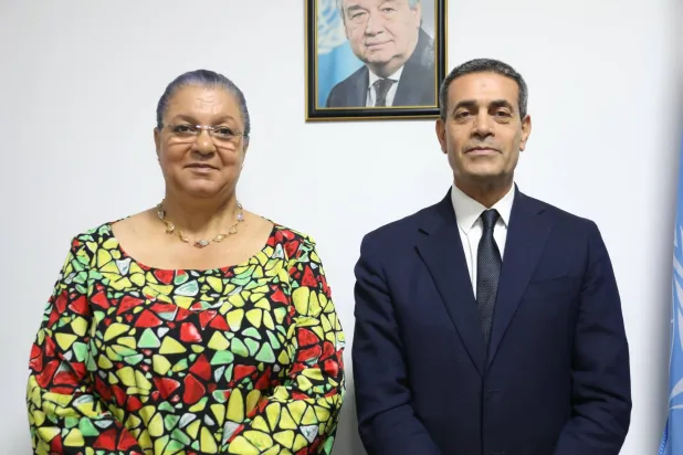 لقاء سابق للسايح مع رئيسة البعثة الأممية (البعثة)