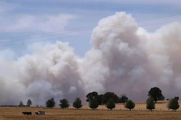Smoke billows from the Longwood bushfire along the Goulburn Highway in Victoria, Australia, 09 January 2026. (EPA)