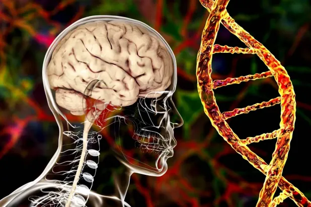 أدوات جينية متقدمة تكشف أسرار أمراض الدماغ التنكسية