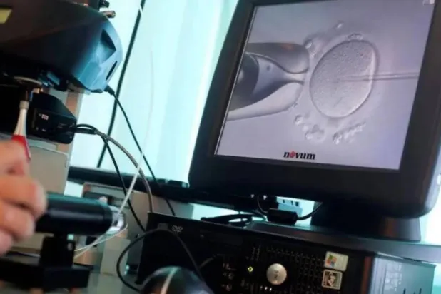 Egg quality is the primary cause of IVF failure and miscarriage in older women (Reuters) 