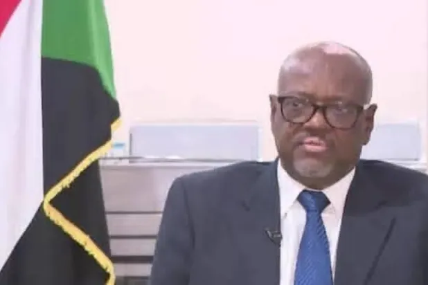 Abdul Kadir Abdullah, Mısır'ın Güney Valilikleri Başkonsolosu (SANA)