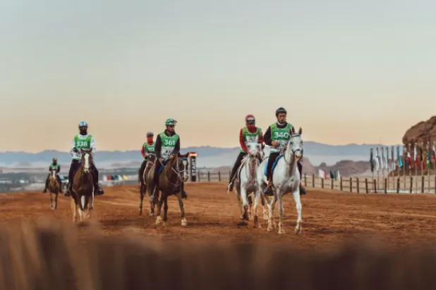 البطولة تستقطب نخبة فرسان العالم وأمهر الخيول الأصيلة (لحظات العلا)