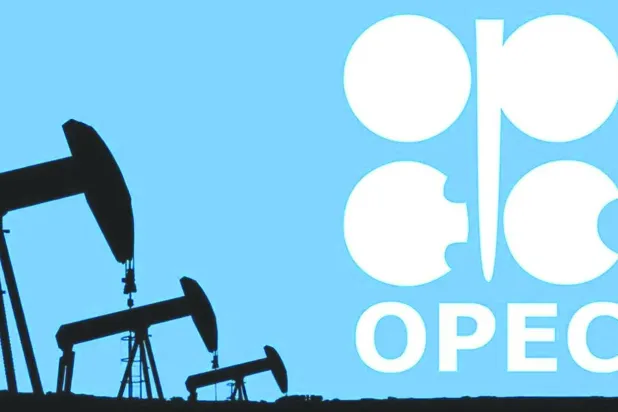 شعار «أوبك» (رويترز)