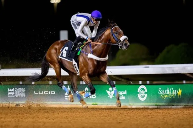 سكوت لاند من أبرز الأسماء المرشحة في كأس الملك سلمان بن عبد العزيز المؤهلة لكأس السعودية (الشرق الأوسط)