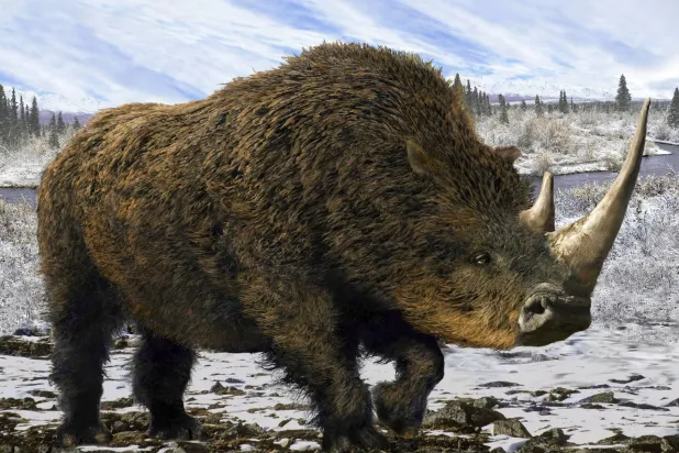 البرد حفظ ما عجز الزمن عن محوه (غيتي)